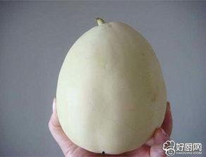 早上吃白兰瓜好吗,白兰瓜，开启健康活力的一天